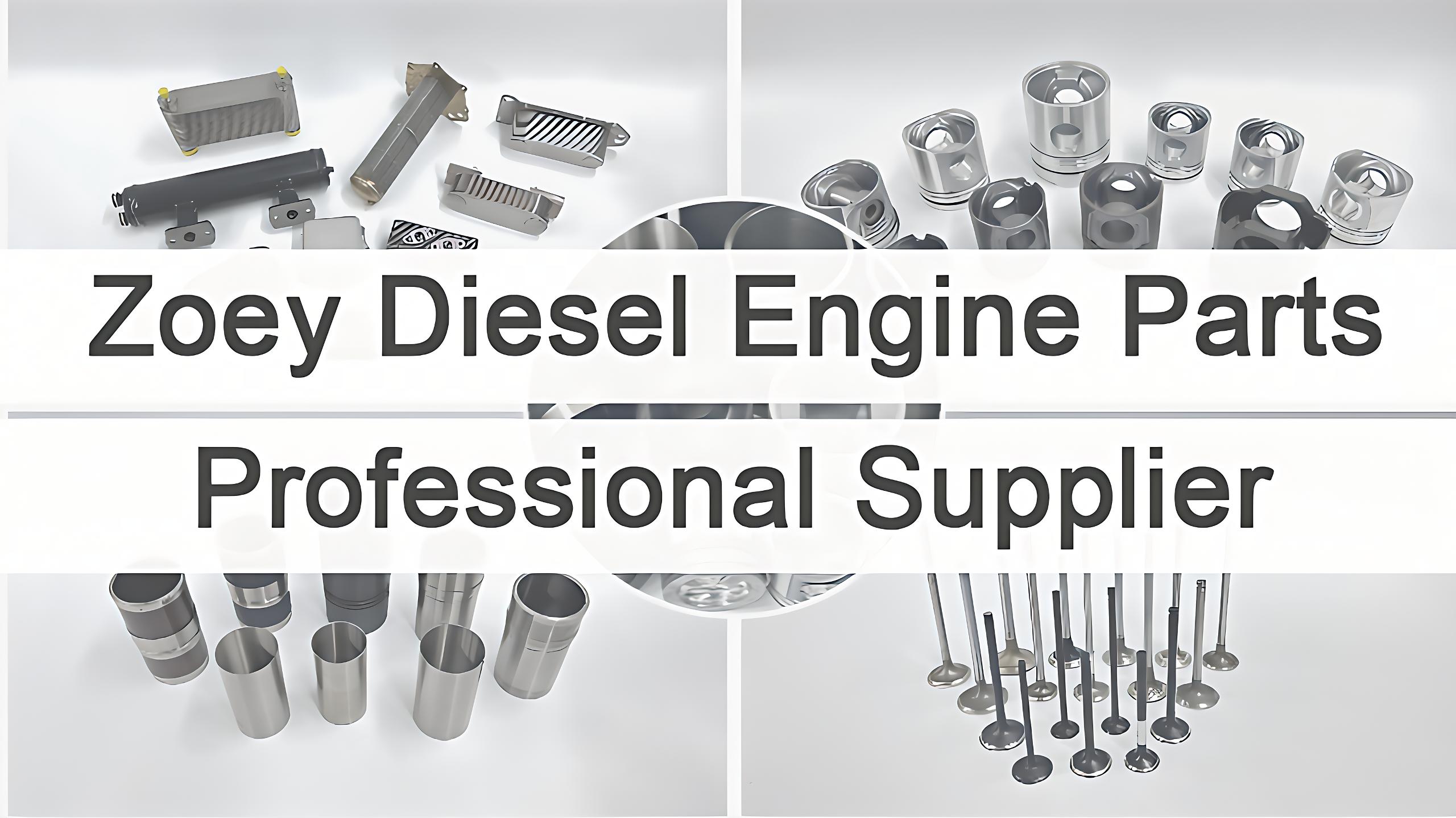 Rango de suministro de AutoParts de Zoey