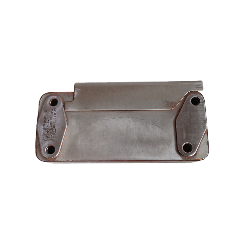 Limpiador de aceite C4990291